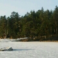 Finnish Tintin